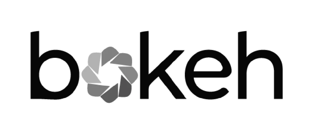 Image of the Bokeh logo